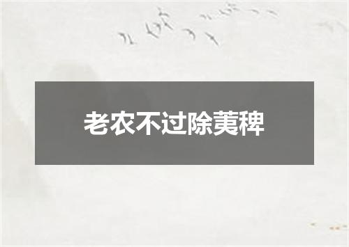 老农不过除荑稗