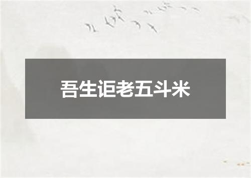 吾生讵老五斗米
