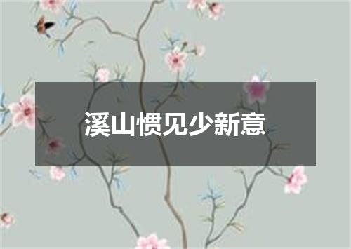 溪山惯见少新意