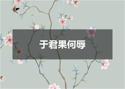 于君果何辱