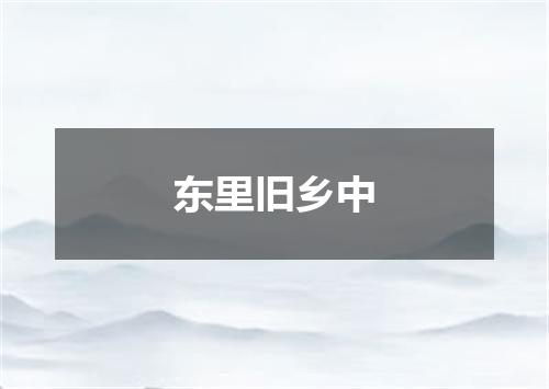 东里旧乡中