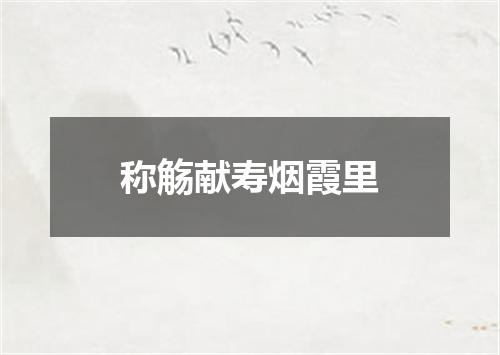 称觞献寿烟霞里