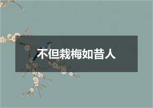 不但栽梅如昔人