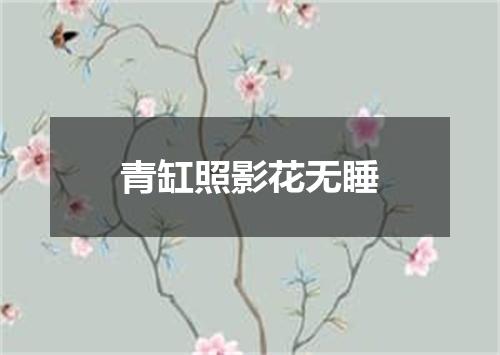 青缸照影花无睡