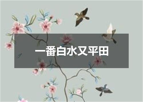 一番白水又平田