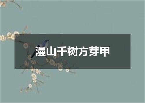 漫山千树方芽甲