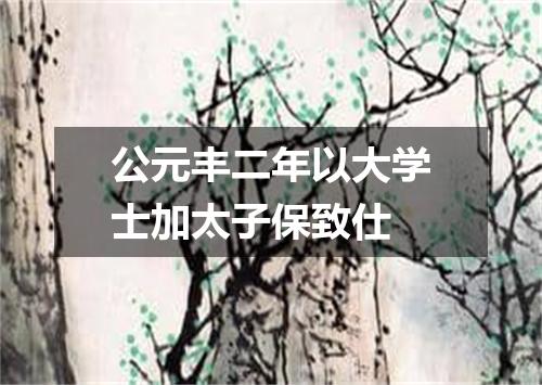 公元丰二年以大学士加太子保致仕