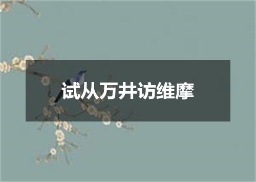 试从万井访维摩