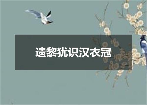 遗黎犹识汉衣冠