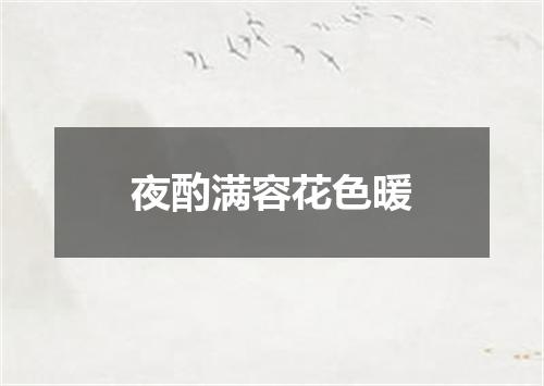 夜酌满容花色暖