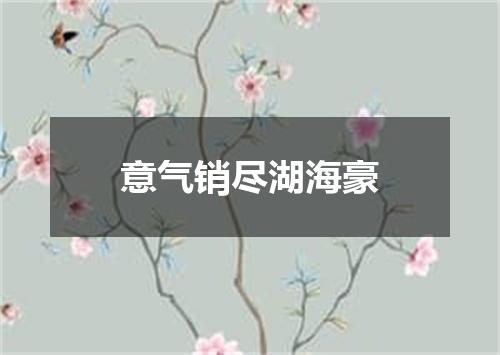意气销尽湖海豪