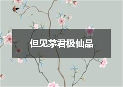 但见茅君极仙品