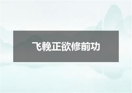 飞輓正欲修前功