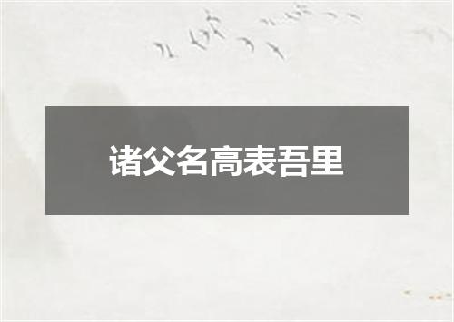 诸父名高表吾里