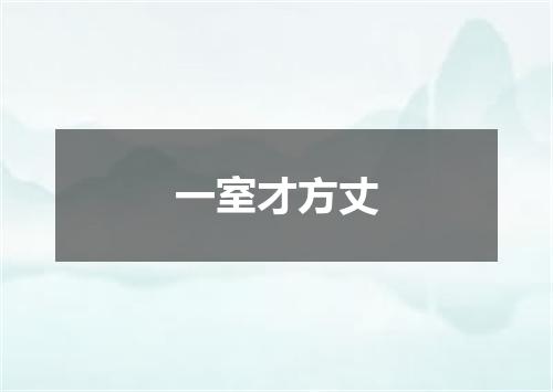 一室才方丈
