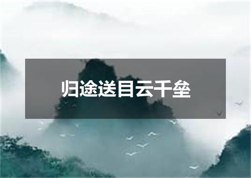 归途送目云千垒