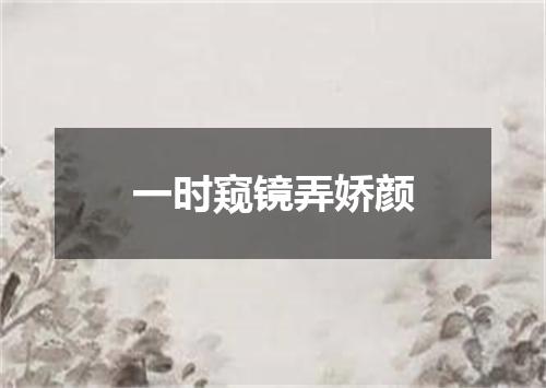 一时窥镜弄娇颜