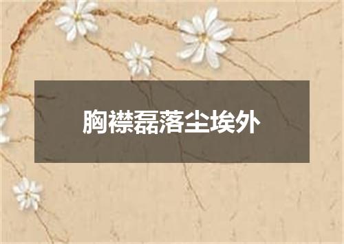 胸襟磊落尘埃外