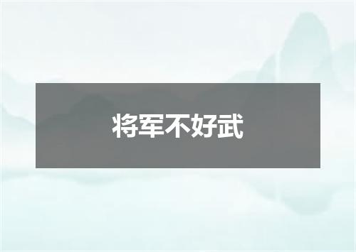 将军不好武