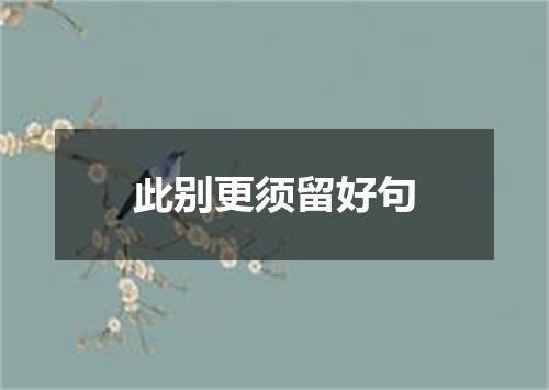 此别更须留好句