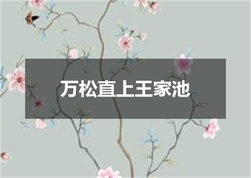 万松直上王家池