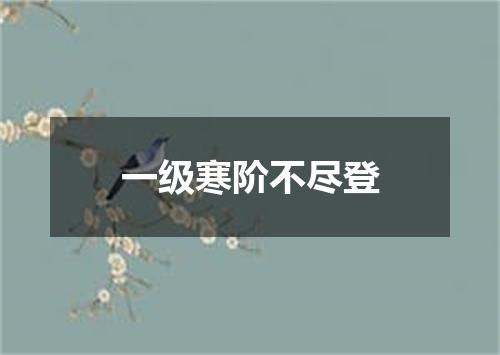 一级寒阶不尽登