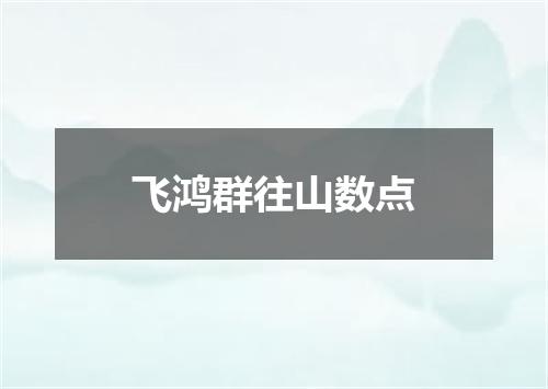 飞鸿群往山数点