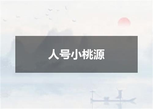 人号小桃源