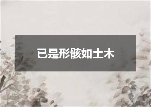 已是形骸如土木