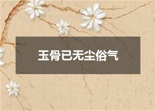 玉骨已无尘俗气