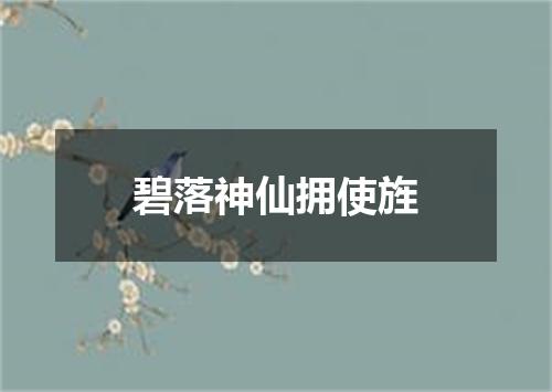 碧落神仙拥使旌