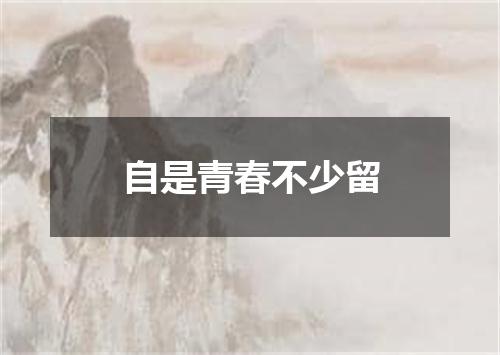 自是青春不少留