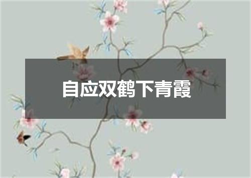 自应双鹤下青霞