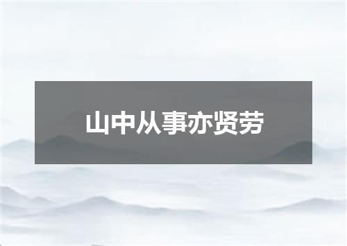 山中从事亦贤劳