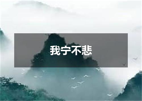 我宁不悲