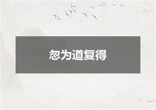 忽为道复得