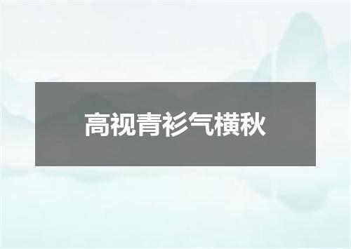 高视青衫气横秋