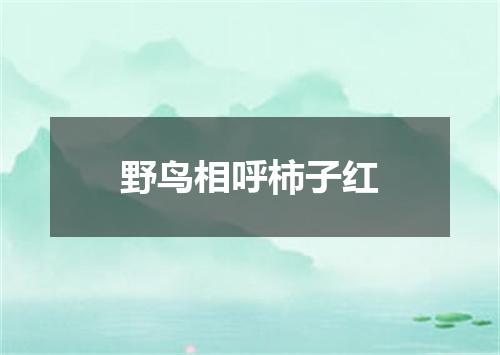 野鸟相呼柿子红