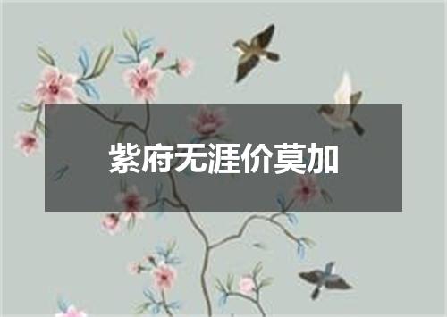 紫府无涯价莫加