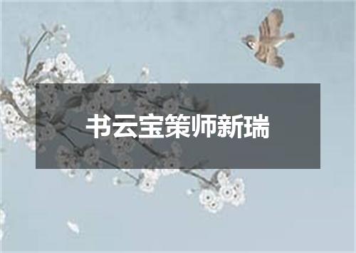 书云宝策师新瑞