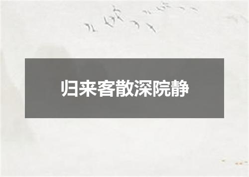 归来客散深院静