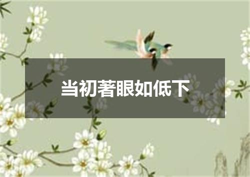 当初著眼如低下