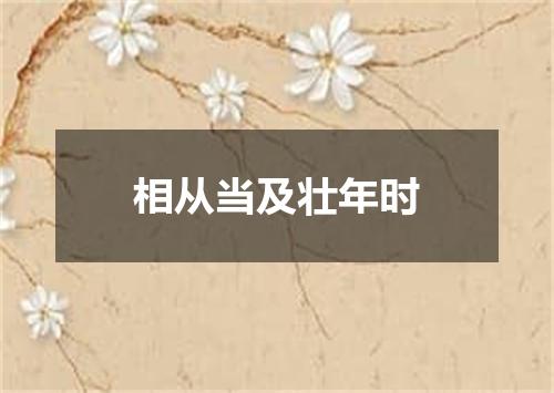 相从当及壮年时