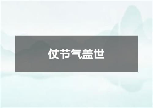 仗节气盖世