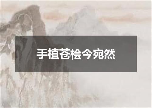 手植苍桧今宛然