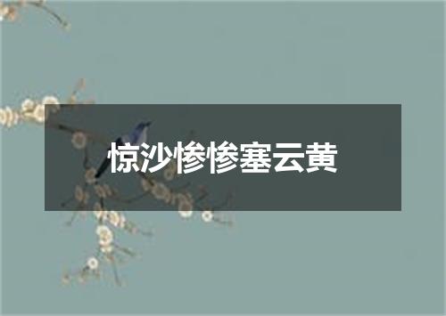 惊沙惨惨塞云黄