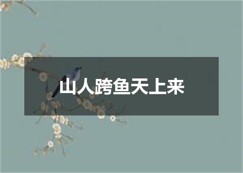 山人跨鱼天上来