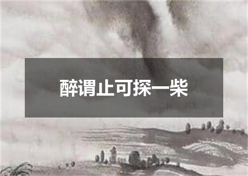 醉谓止可探一柴