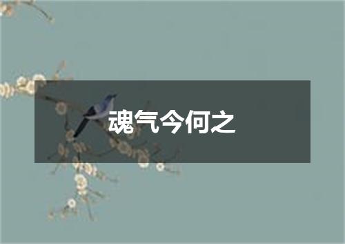 魂气今何之