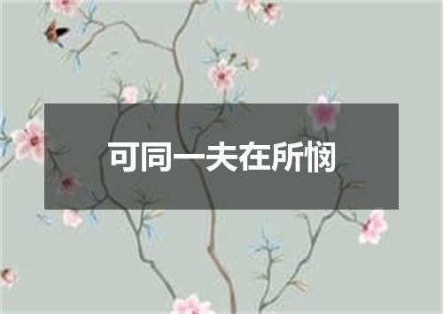 可同一夫在所悯
